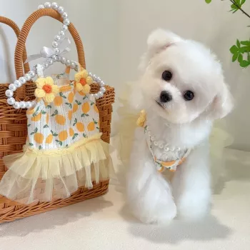 Floral Lace Chiffon Dress for Dogs & Cats: Fit Guide